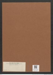 Diatomeae indet. (de-Toni-Nr.: Species 2085 ?) Zeichnungen Sammlung Grunow Mappe 02377 (Herbarium_W_Grunow_drawings_Folder_02377)